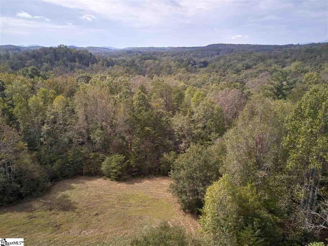 175 Forest Dale Road Marietta, SC 29661 - Photo 32 of 36