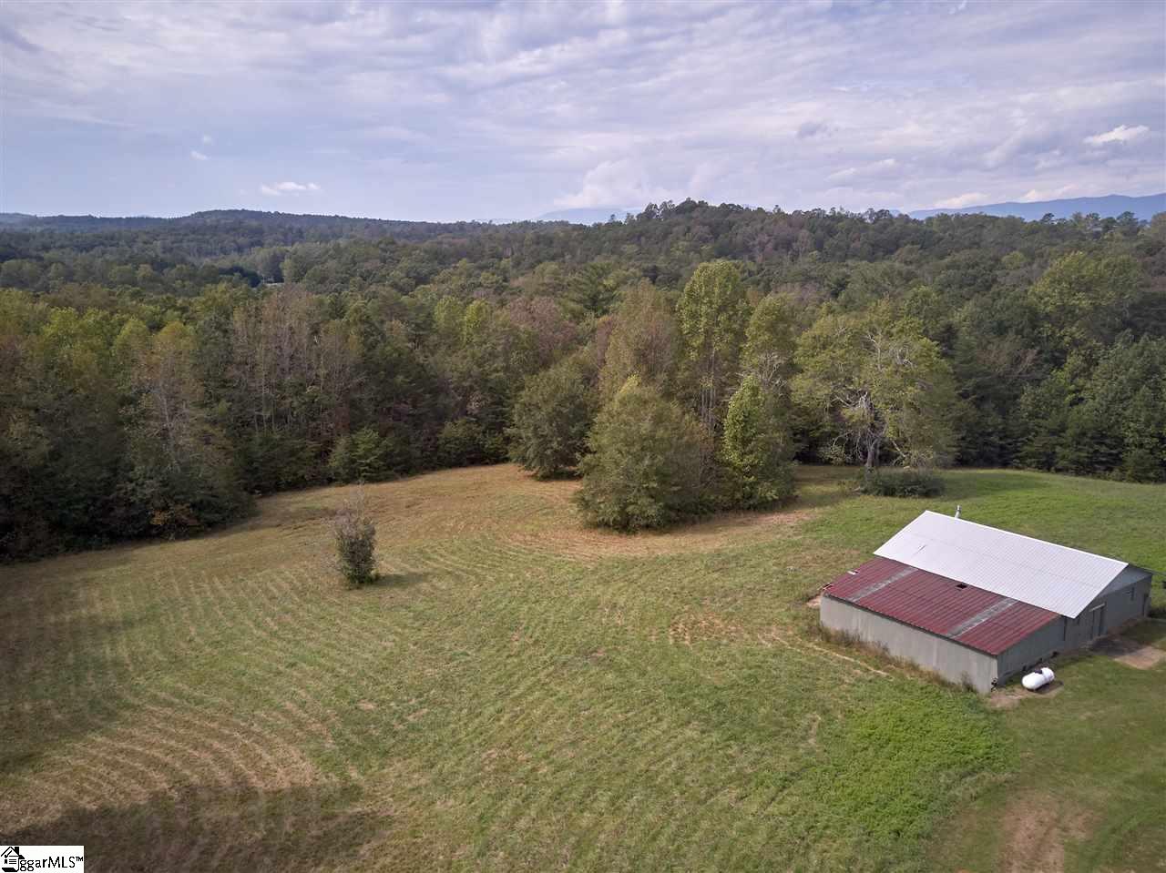 175 Forest Dale Road Marietta, SC 29661 - Photo 35 of 36