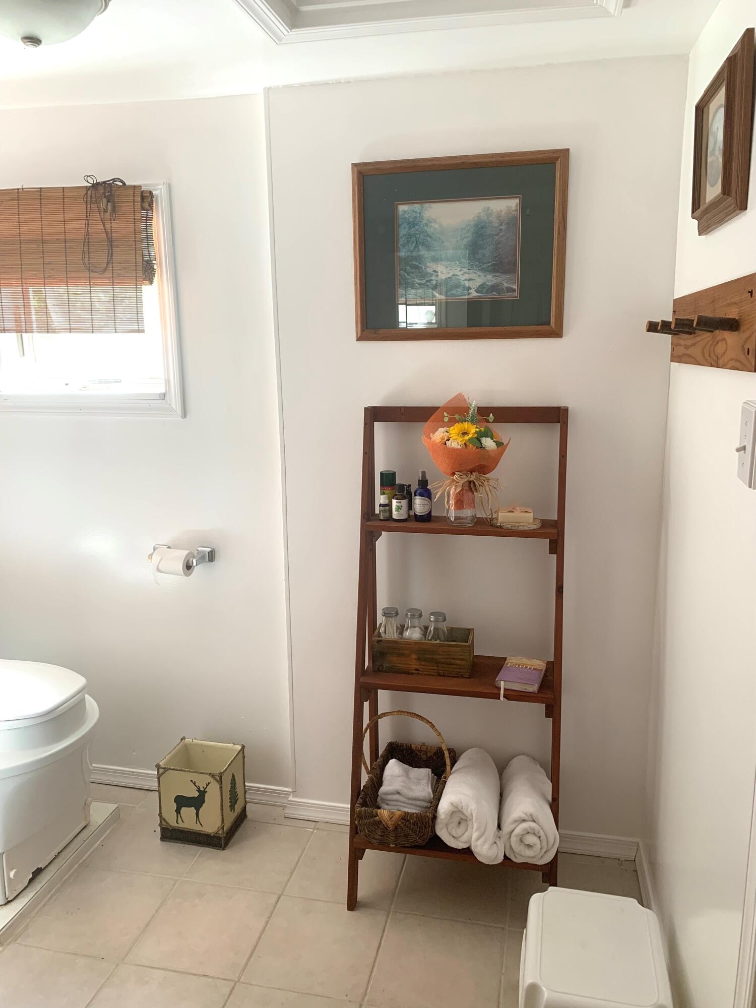 139 Pecks Pond Road Dingmans Ferry, PA 18328 - Photo 16 of 26 a bathroom with a toilet and a sink