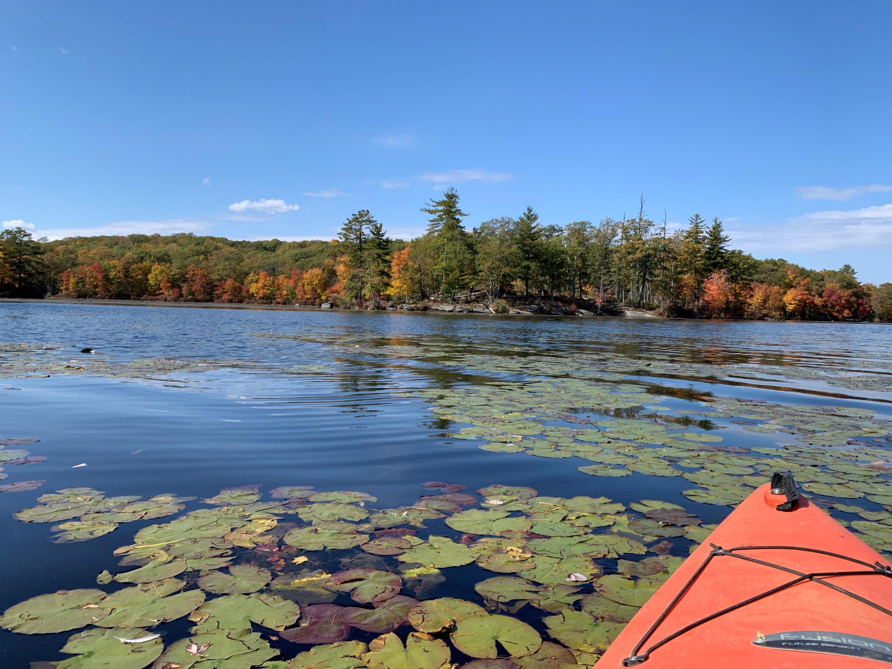 139 Pecks Pond Road Dingmans Ferry, PA 18328 - Photo 19 of 26 a view of lake with mountain
