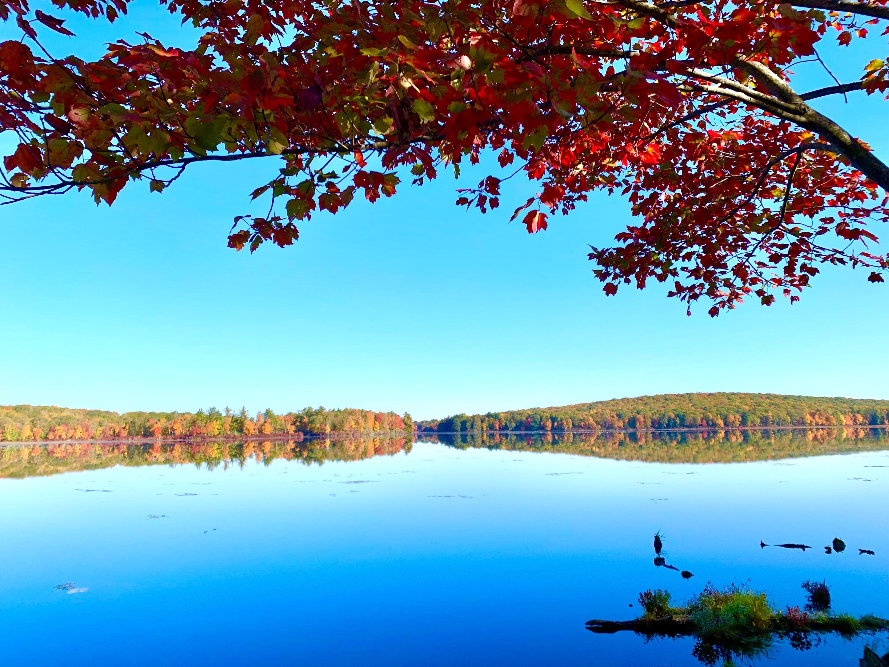 139 Pecks Pond Road Dingmans Ferry, PA 18328 - Photo 20 of 26 a view of an ocean