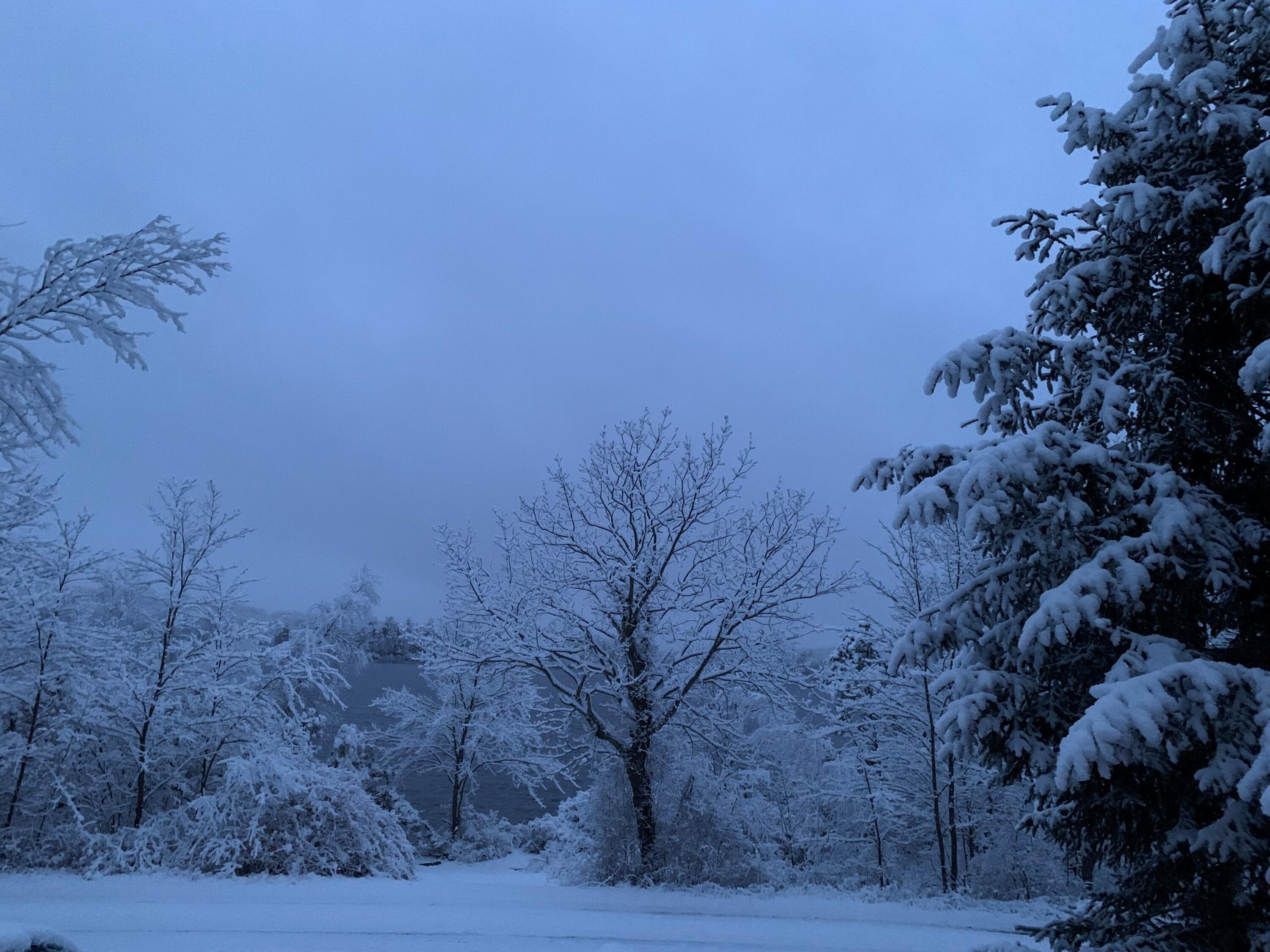 139 Pecks Pond Road Dingmans Ferry, PA 18328 - Photo 25 of 26 a view of a backyard of the house
