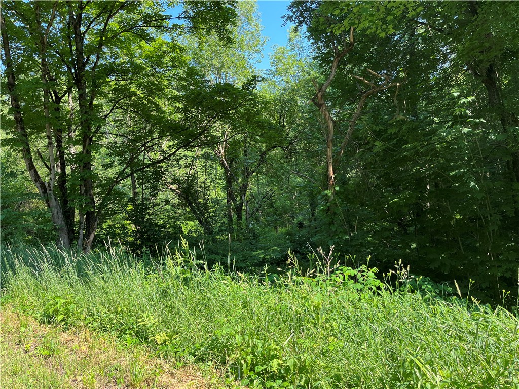 357 Cable Road Williamstown, NY 13493 - Photo 35 of 50