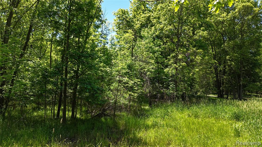 0 Williams Road Gaines, MI 48436 - Photo 21 of 28