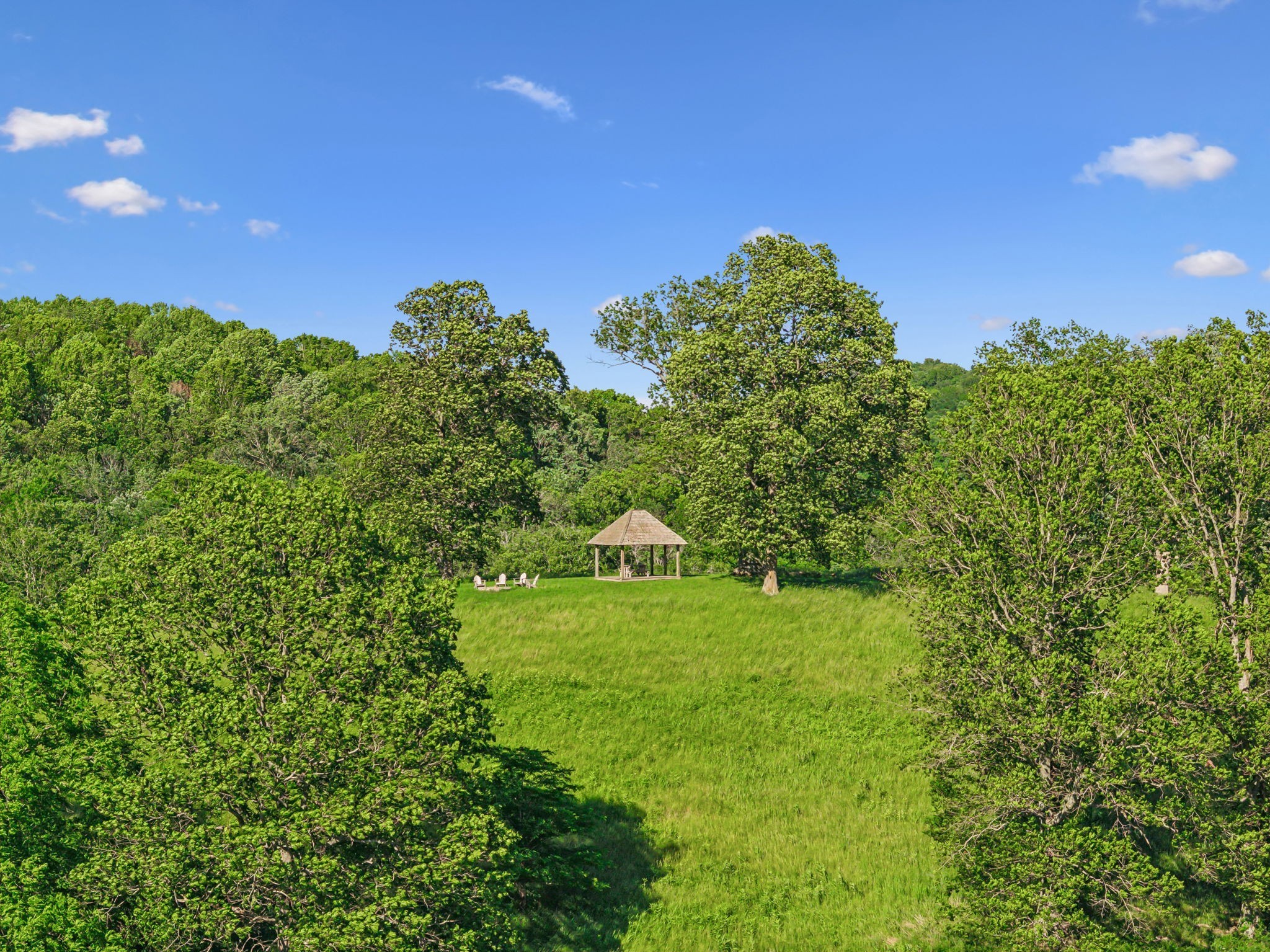 3201 Carl Road Franklin, TN 37064 - Photo 15 of 47 a view of a big yard with plants and a tree