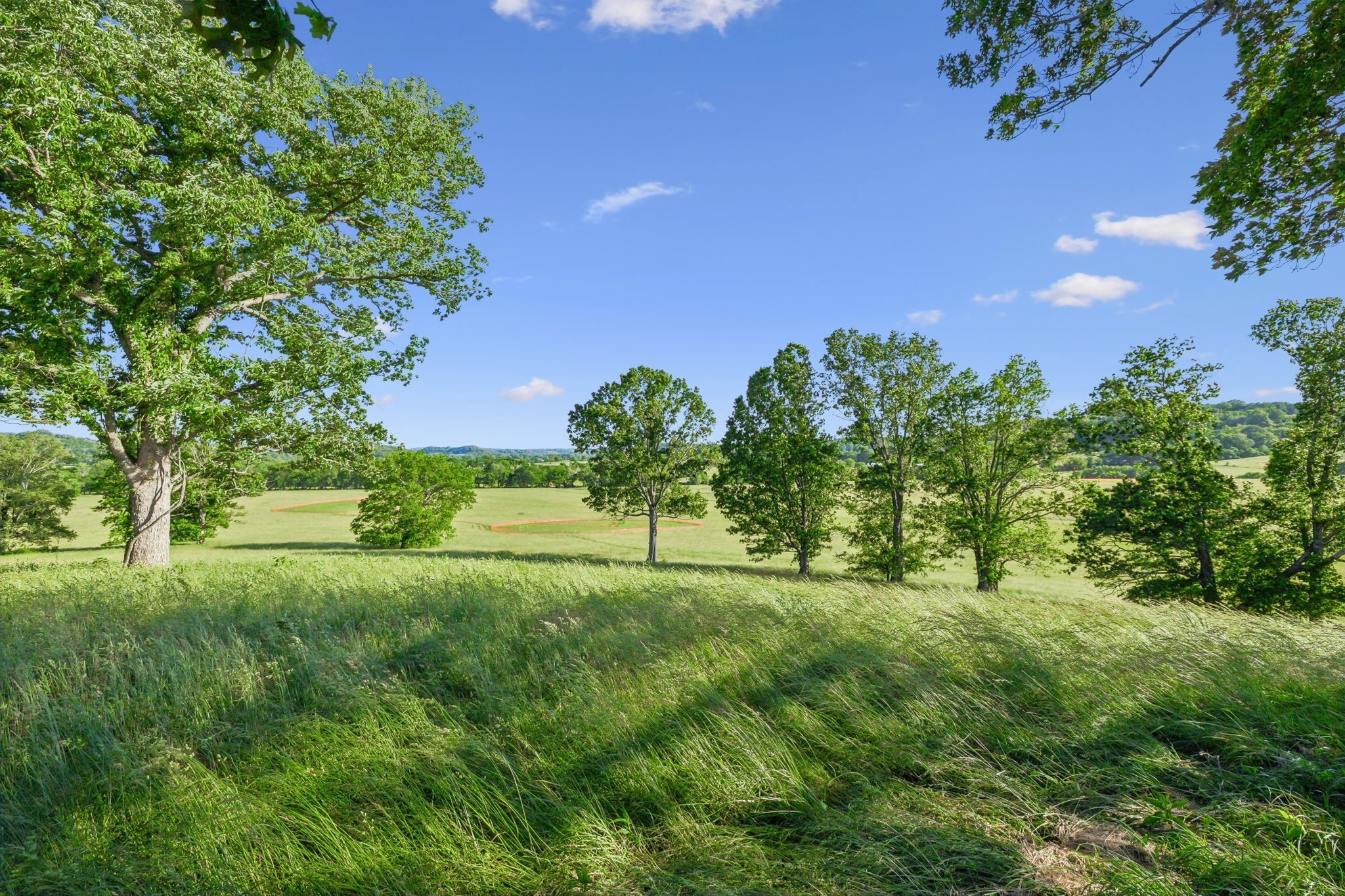 3201 Carl Road Franklin, TN 37064 - Photo 16 of 47 a view of a garden with an outdoor space