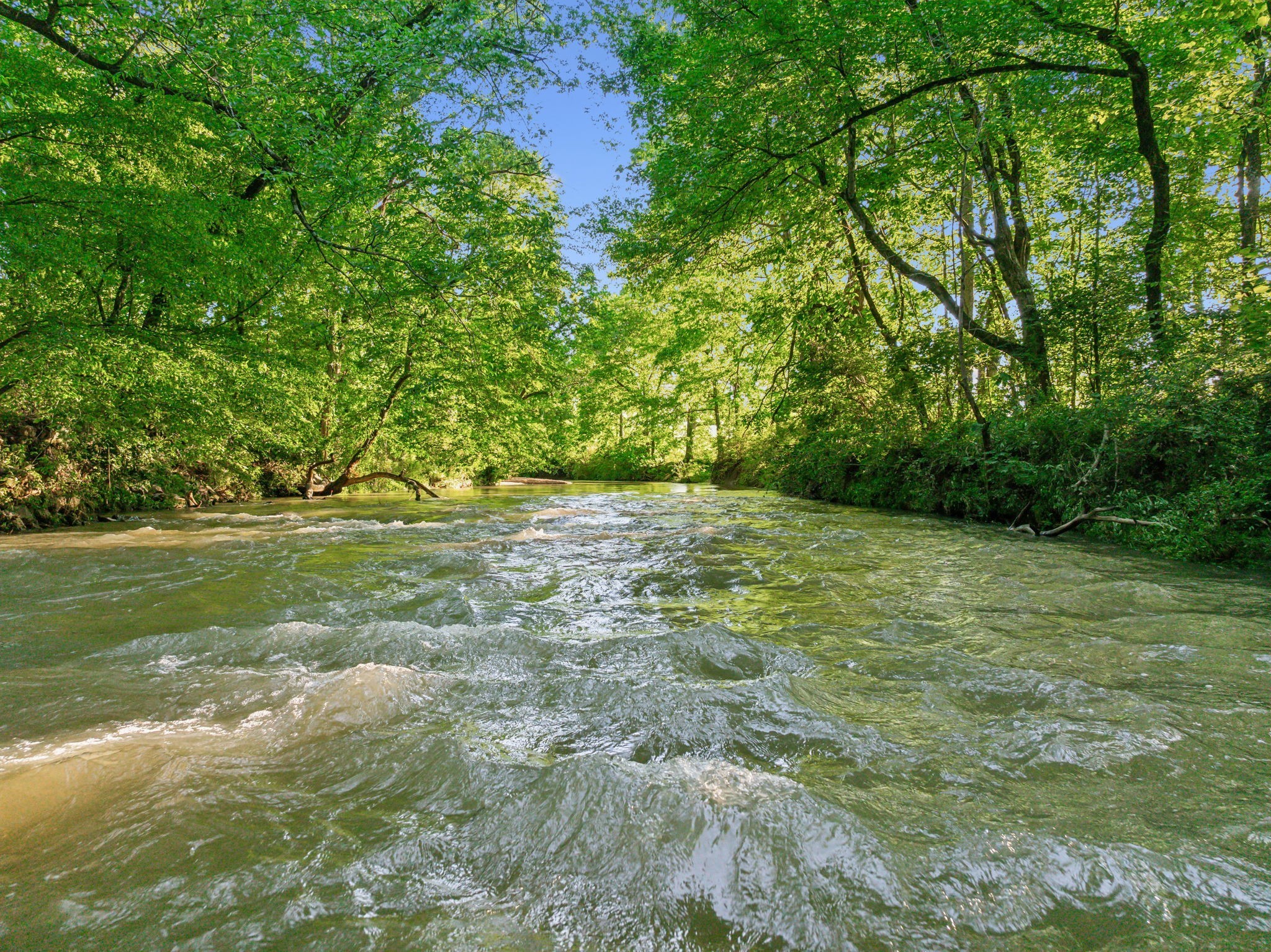 3201 Carl Road Franklin, TN 37064 - Photo 20 of 47