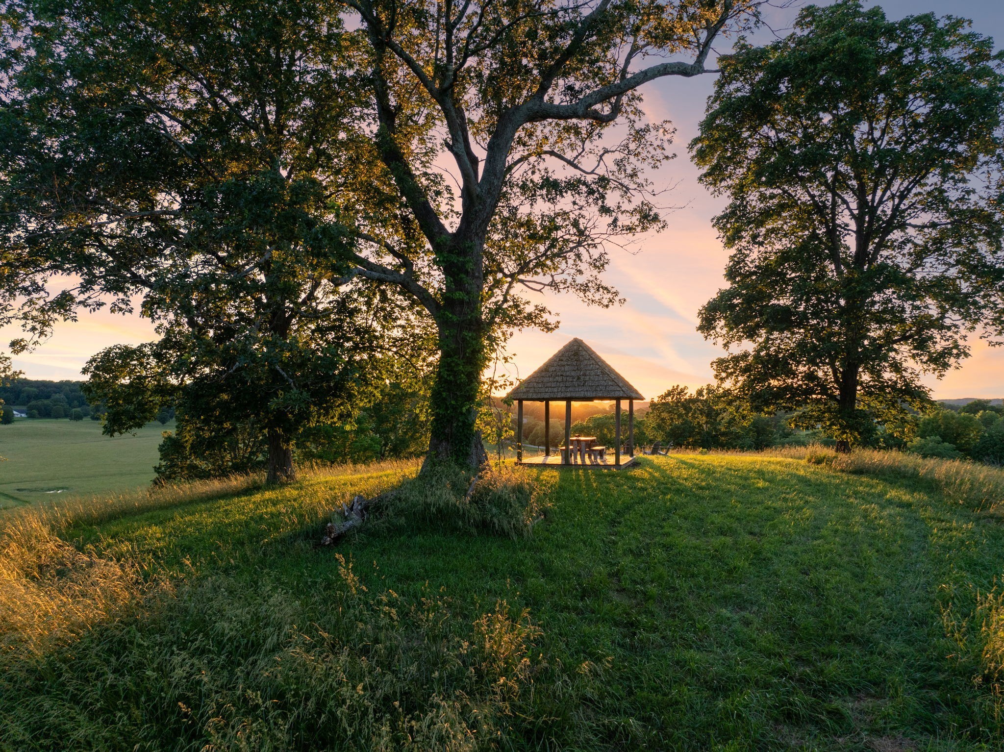 3201 Carl Road Franklin, TN 37064 - Photo 3 of 47 a view of a large garden with large trees