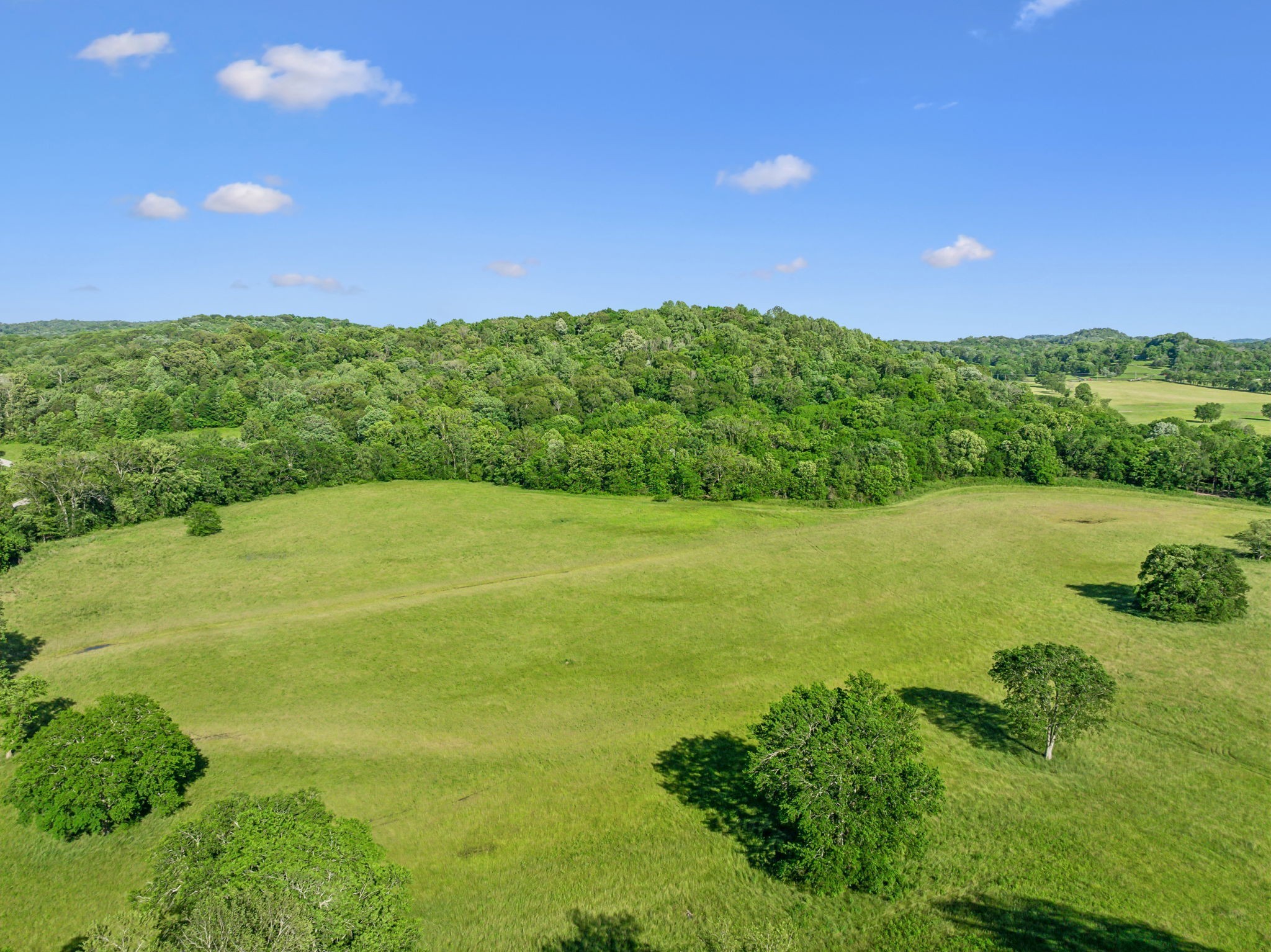 3201 Carl Road Franklin, TN 37064 - Photo 35 of 47 a view of a field with an ocean