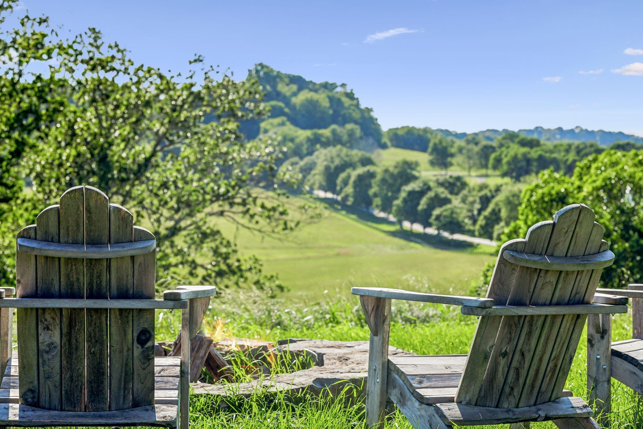 3201 Carl Road Franklin, TN 37064 - Photo 8 of 47 a view of a back yard from a balcony