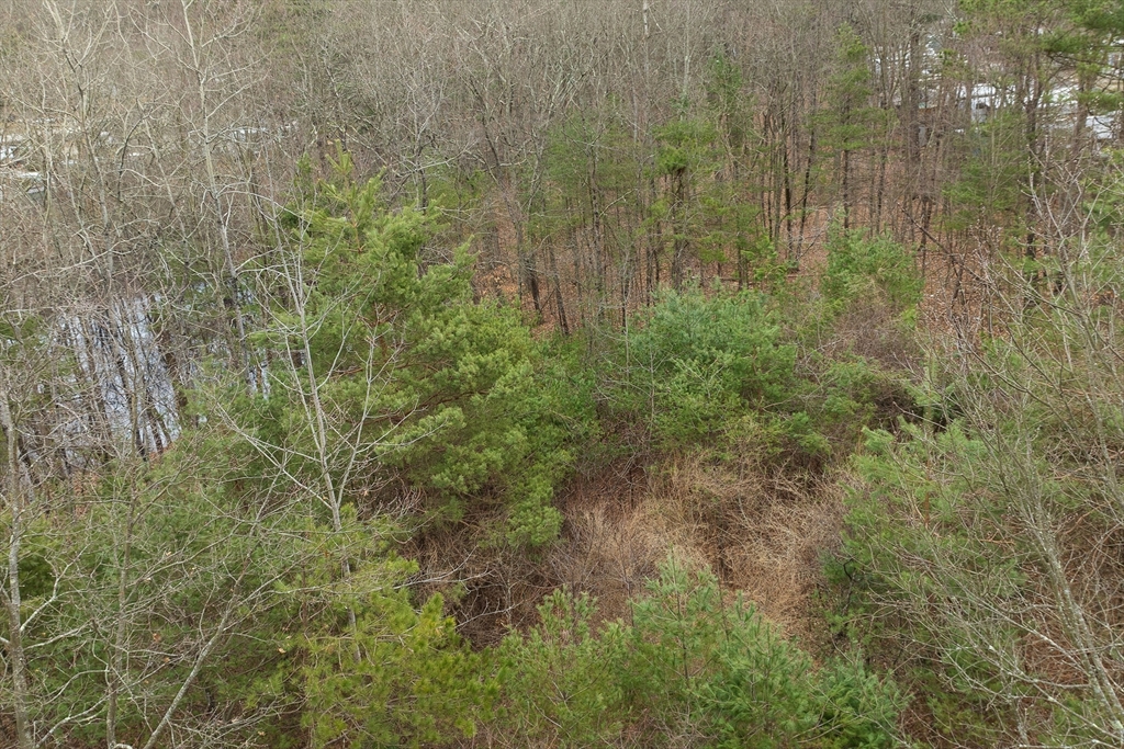 0 Killdeer Road Webster, MA 01570 - Photo 3 of 6 a view of a bunch of green trees