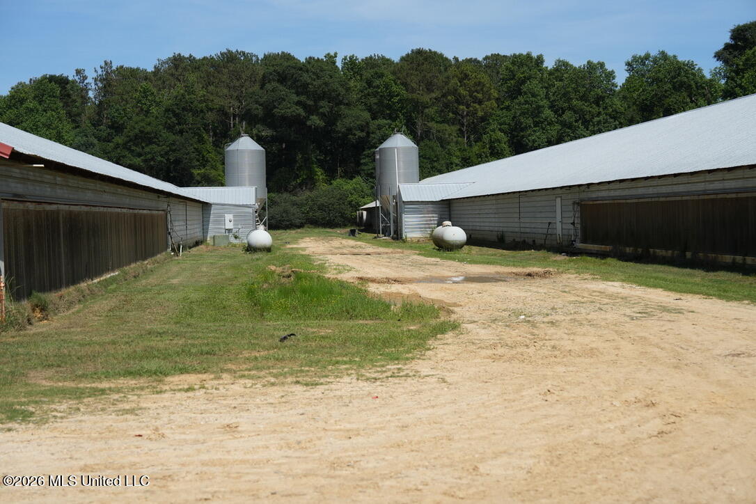 Smithtown Chicora Road State Line, MS 39362 - Photo 13 of 38 806F209F-F5AD-40E3-B09A-67867904A59B_1_1
