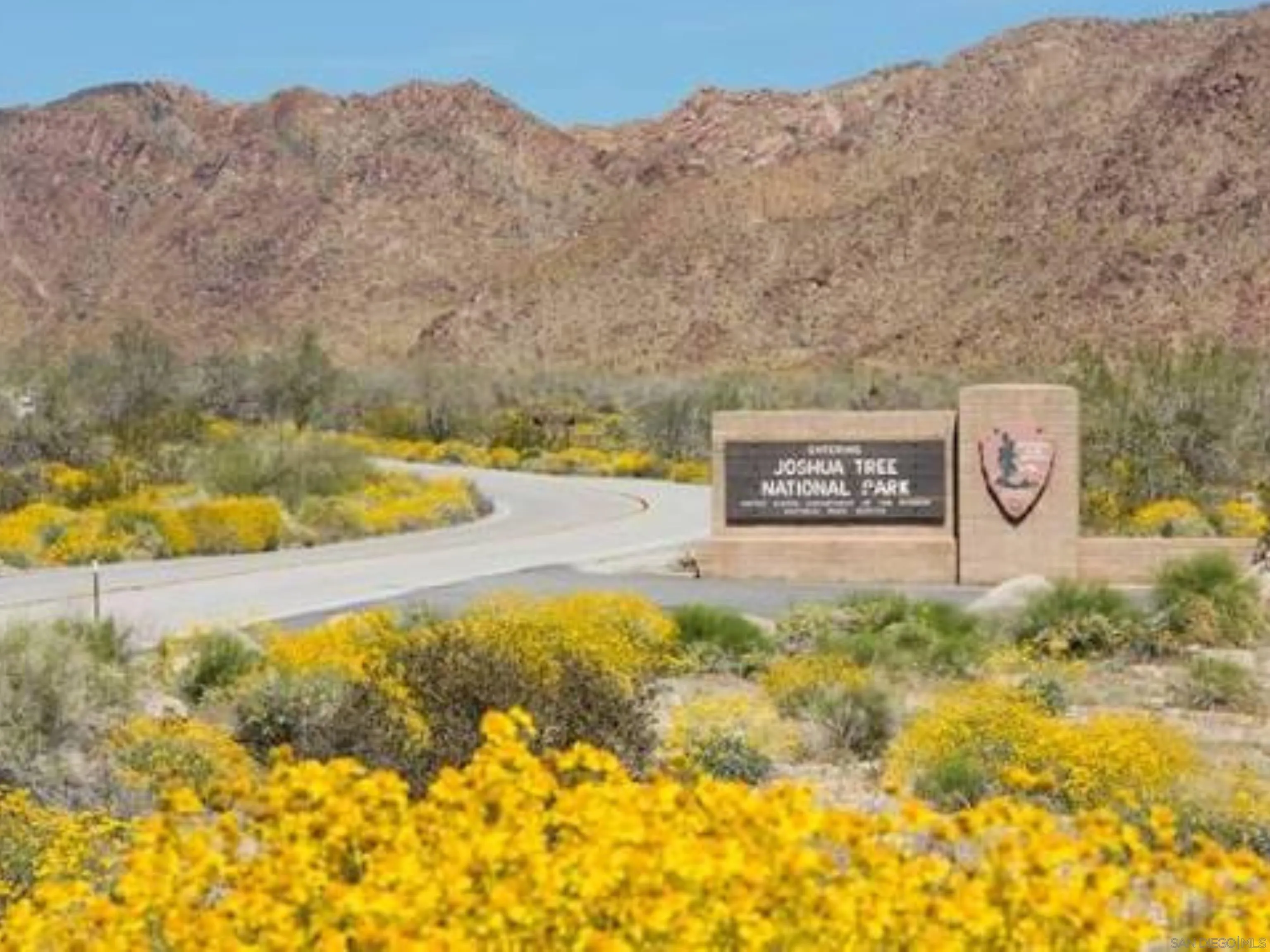 8022 Wesley Road Joshua Tree, CA 92252 - Photo 71 of 71