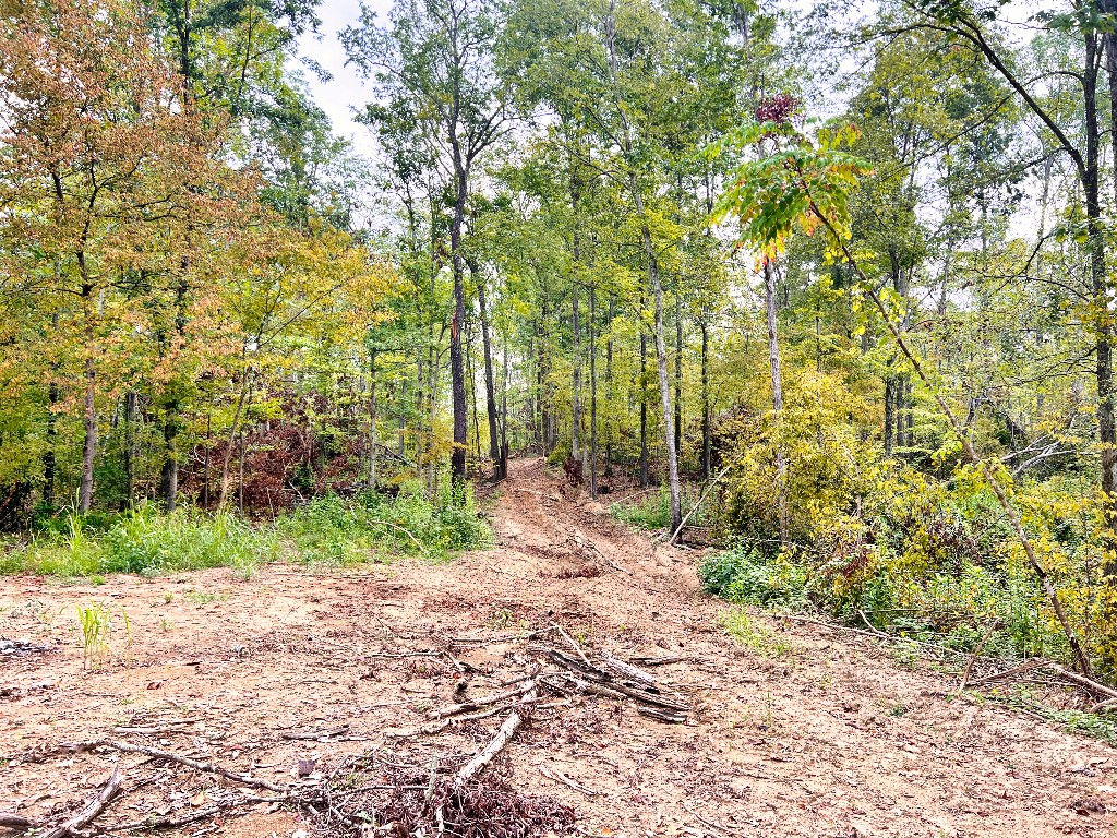 0 Baker Hollow Road Nunnelly, TN 37137 - Photo 12 of 15 Gallery Image 12