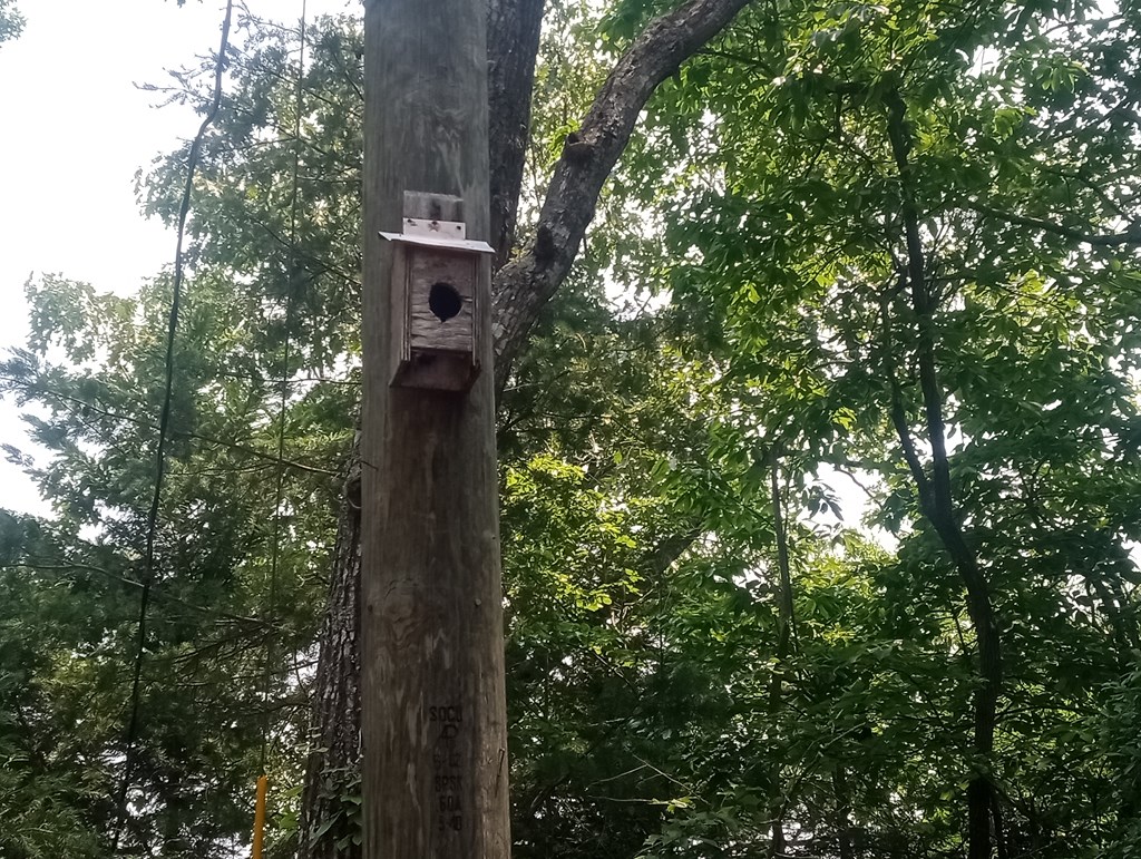 1227 Hilton Drive Ranger, GA 30734 - Photo 18 of 18