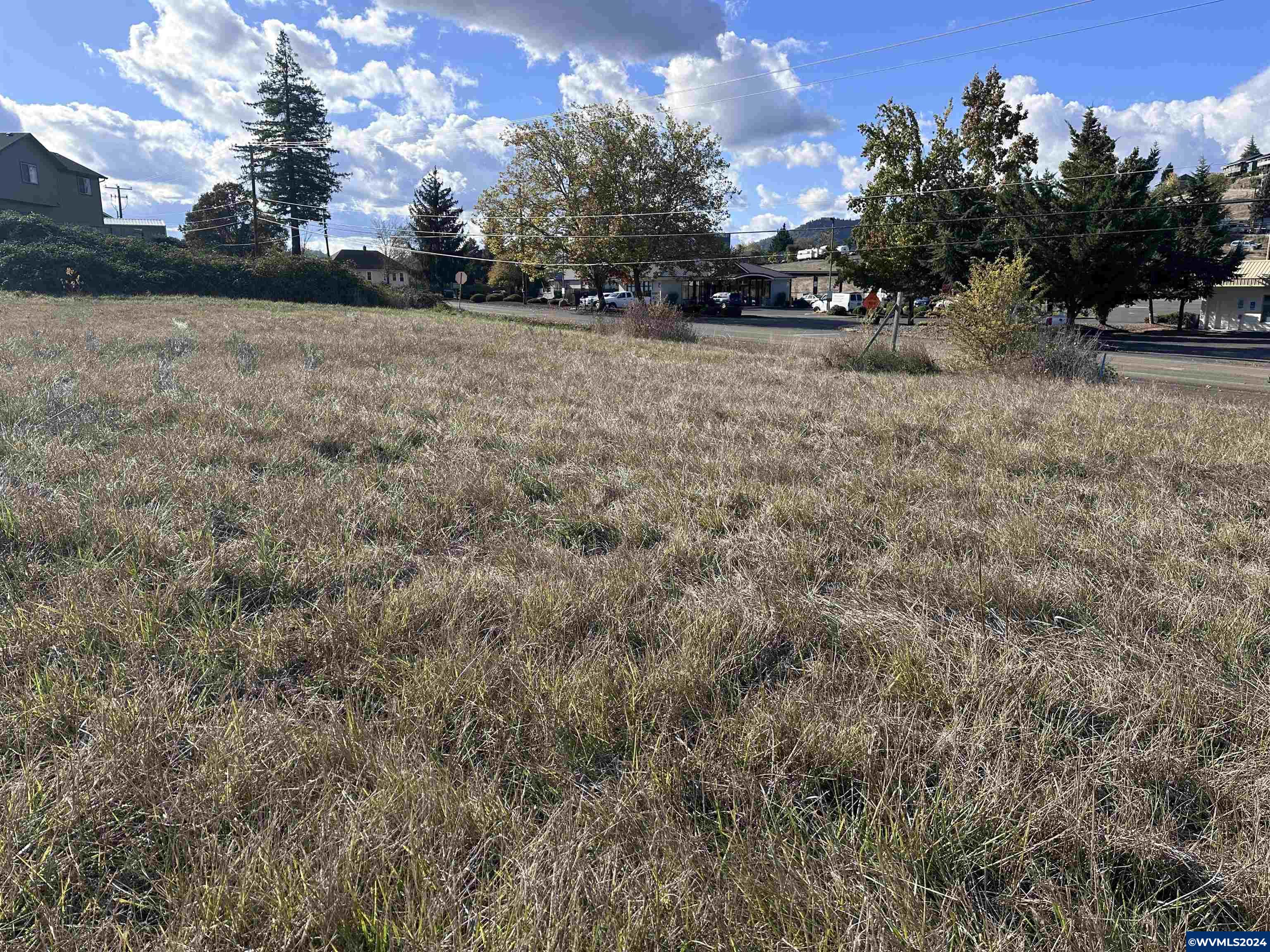 4885 Southwest Grange Road Roseburg, OR 97471 - Photo 9 of 10
