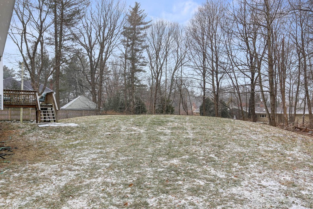 295 South Main Street Andover, MA 01810 - Photo 26 of 30 a backyard of a house with large trees
