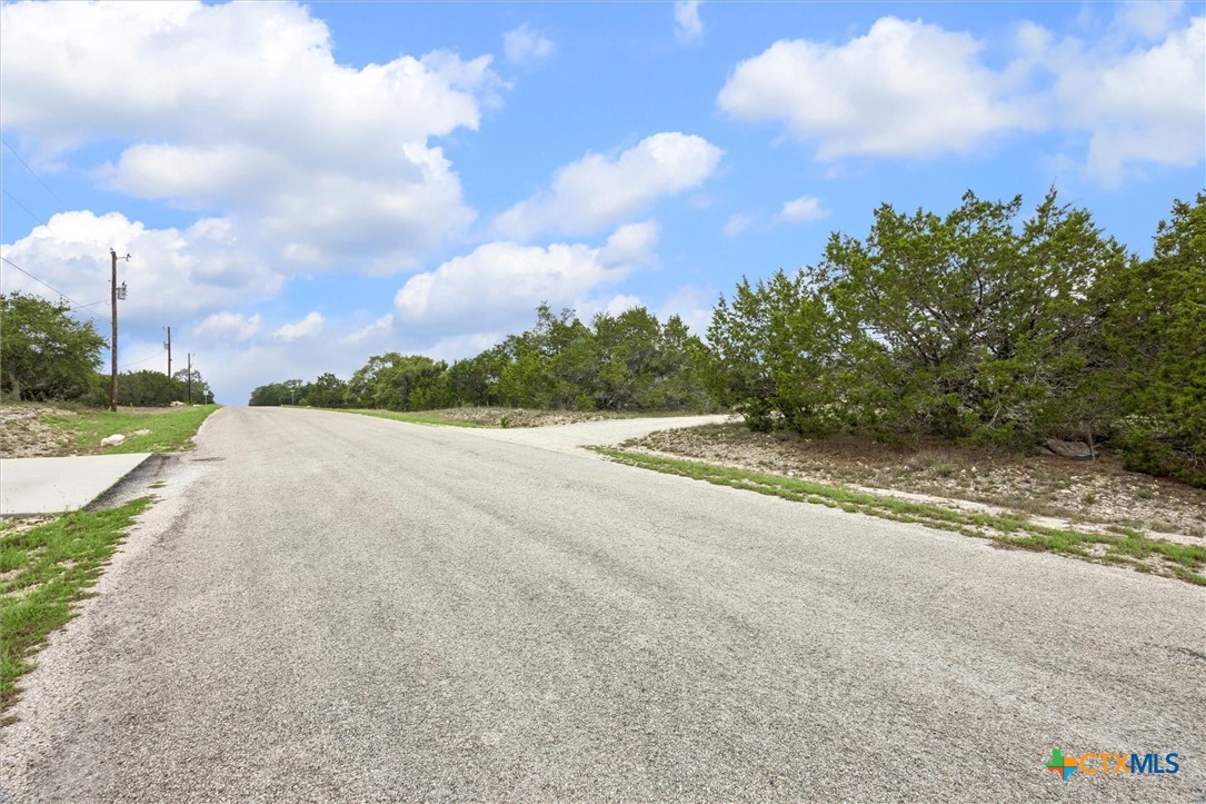 865 Rutherford Fischer, TX 78623 - Photo 10 of 11 a view of a road with a building in the background