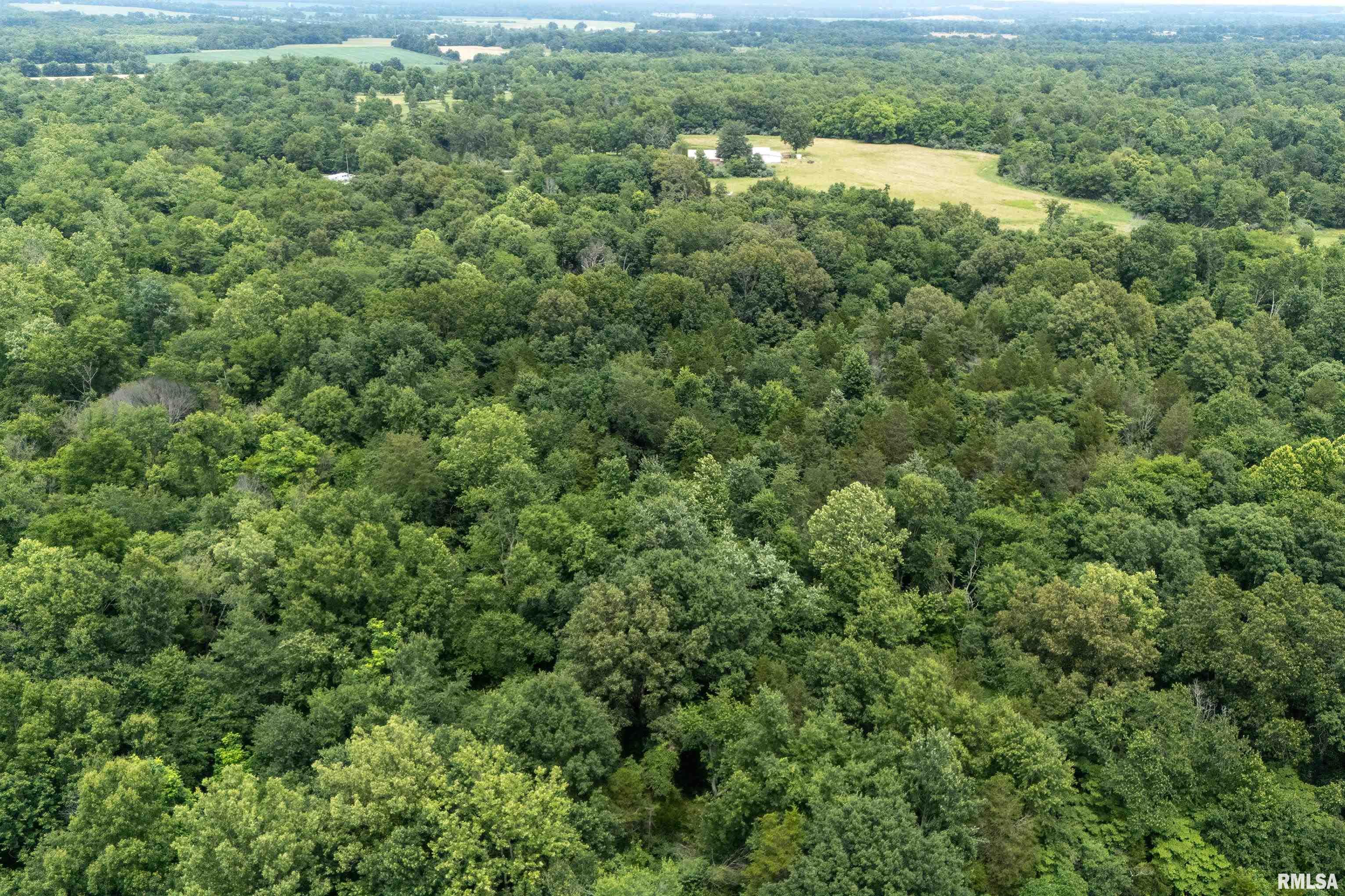 16880 Malone Road Thompsonville, IL 62890 - Photo 25 of 44