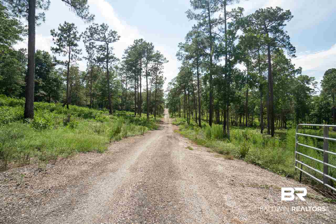 32552 Steelwood Ridge Road, Unit 4 Loxley, AL 36551 - Photo 48 of 50