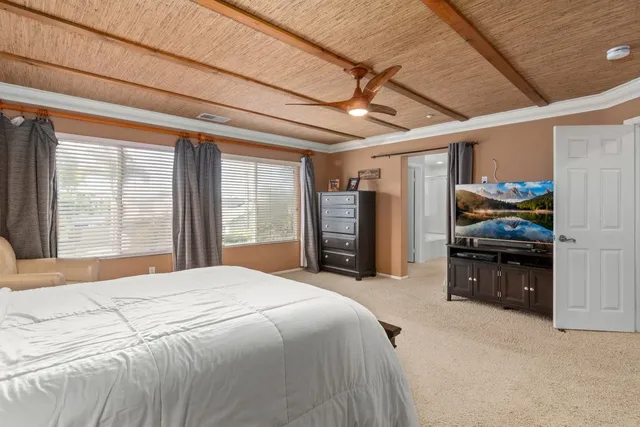 a bed room with a bed and a television