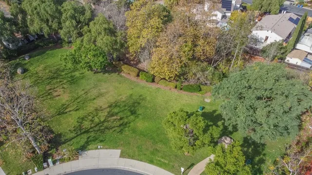 a view of a forest with a street