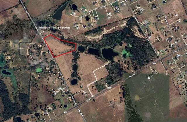 a bird view of house