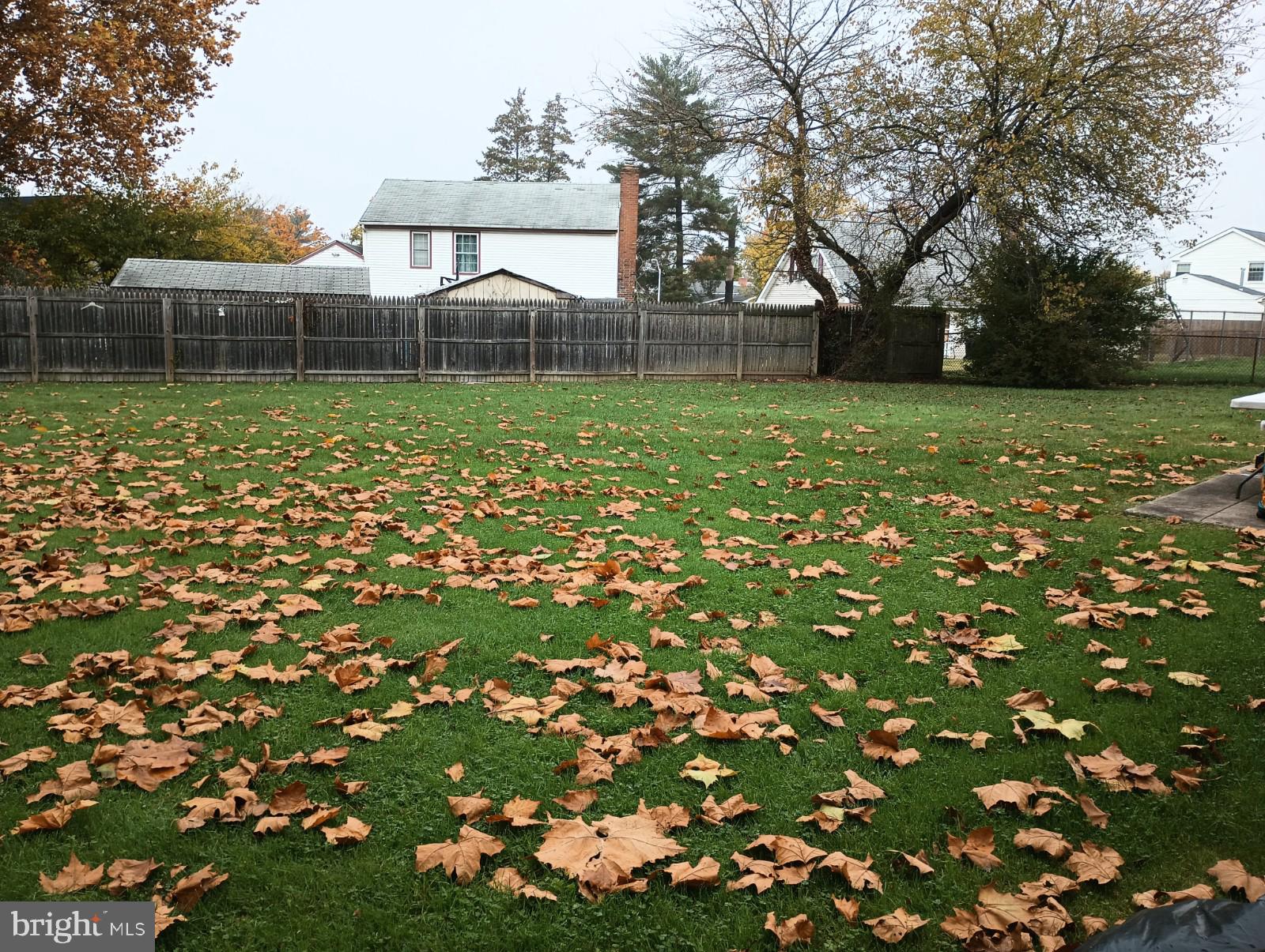 1 Primrose Lane Willingboro, NJ 08046 - Photo 7 of 7 Rear yard