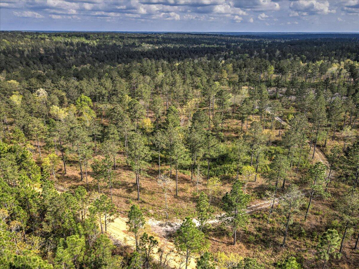 0 Deer Run Road, Unit E Williston, SC 29853 - Photo 3 of 15