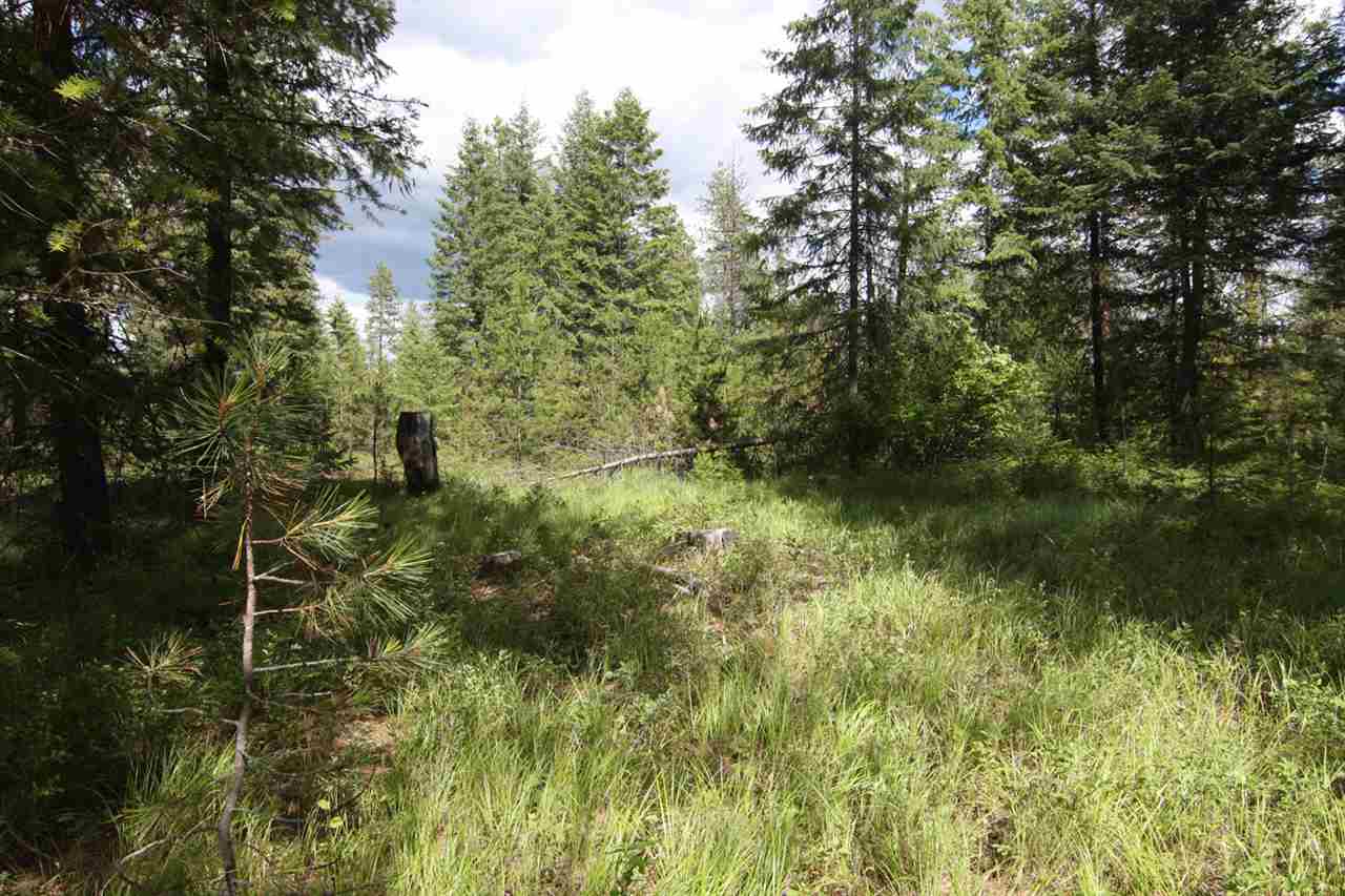 0 Dodge Mtn Road Newport, WA 99156 - Photo 1 of 18 Gallery Image 1