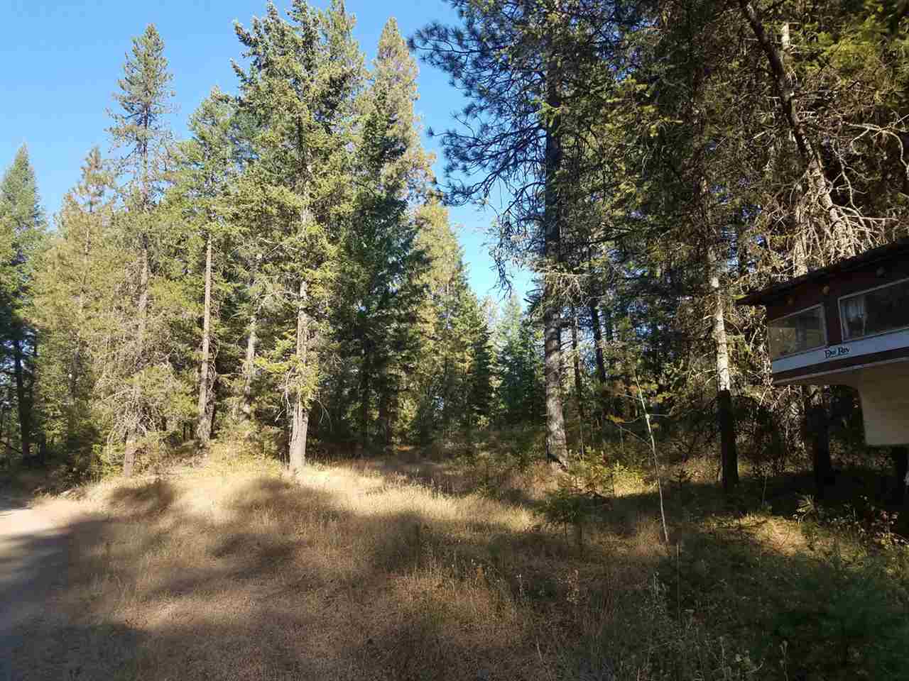 0 Dodge Mtn Road Newport, WA 99156 - Photo 3 of 18 Gallery Image 3