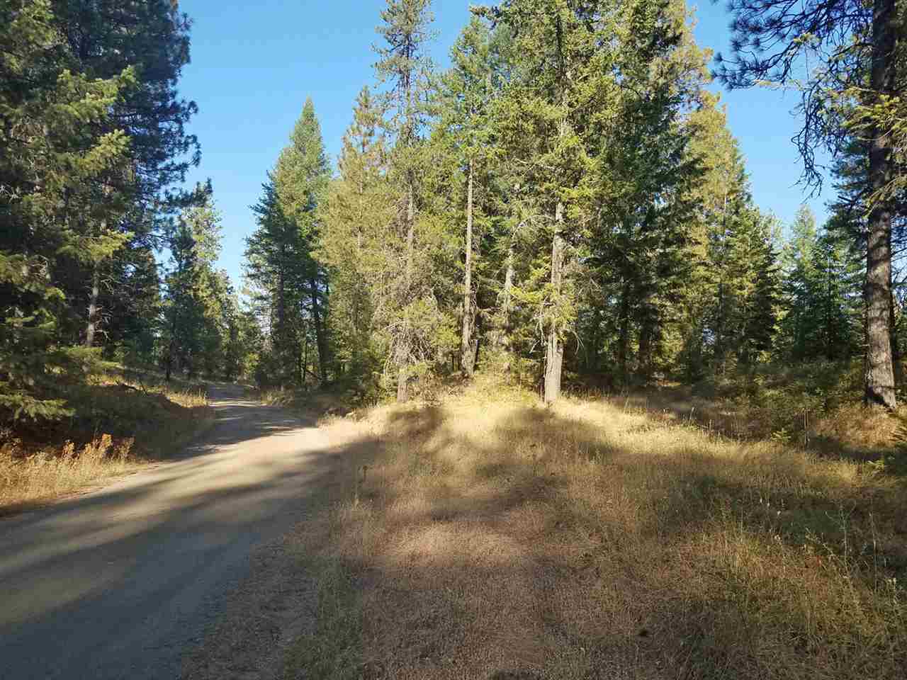 0 Dodge Mtn Road Newport, WA 99156 - Photo 5 of 18 Gallery Image 5