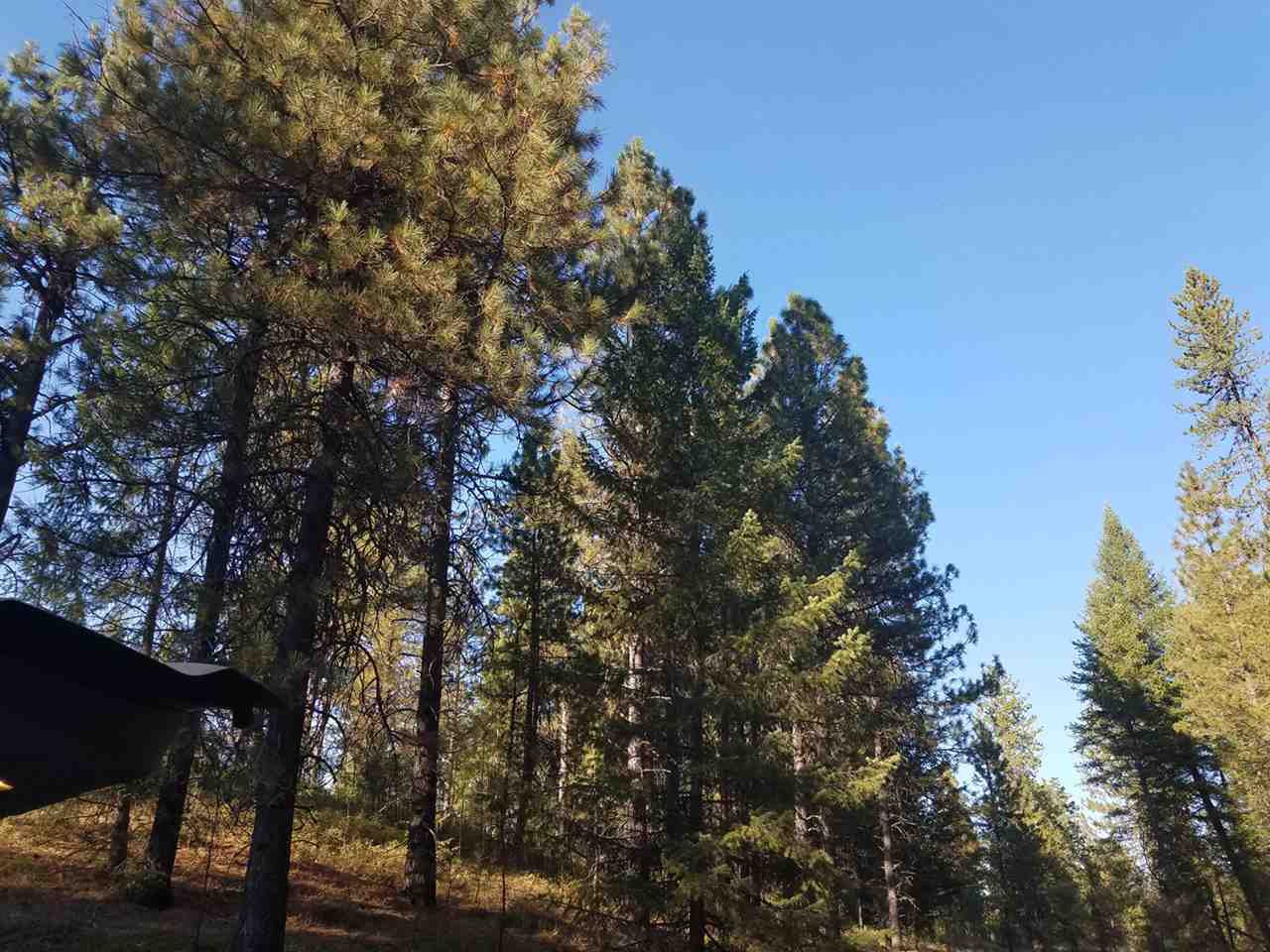 0 Dodge Mtn Road Newport, WA 99156 - Photo 6 of 18 Gallery Image 6