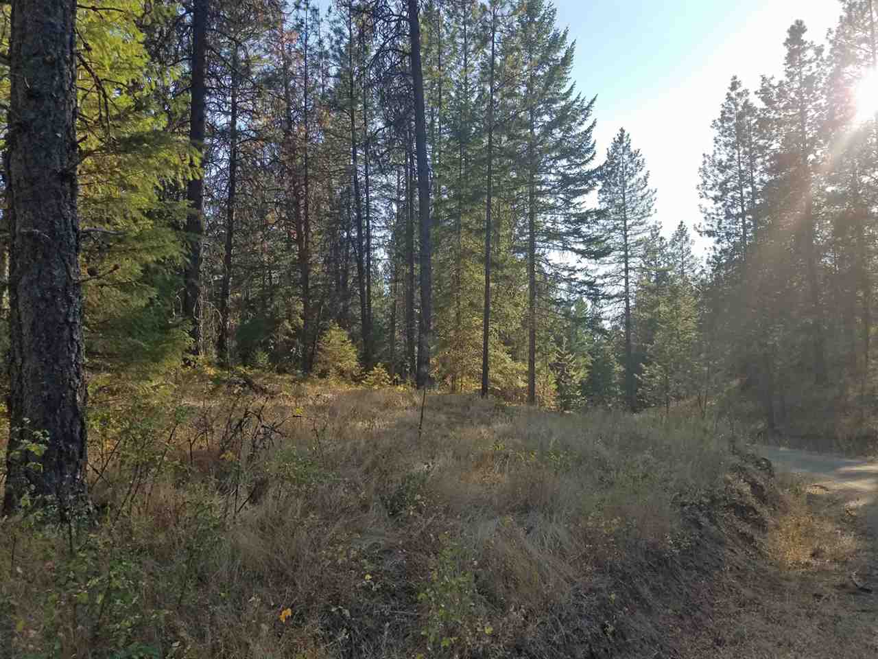 0 Dodge Mtn Road Newport, WA 99156 - Photo 7 of 18 Gallery Image 7