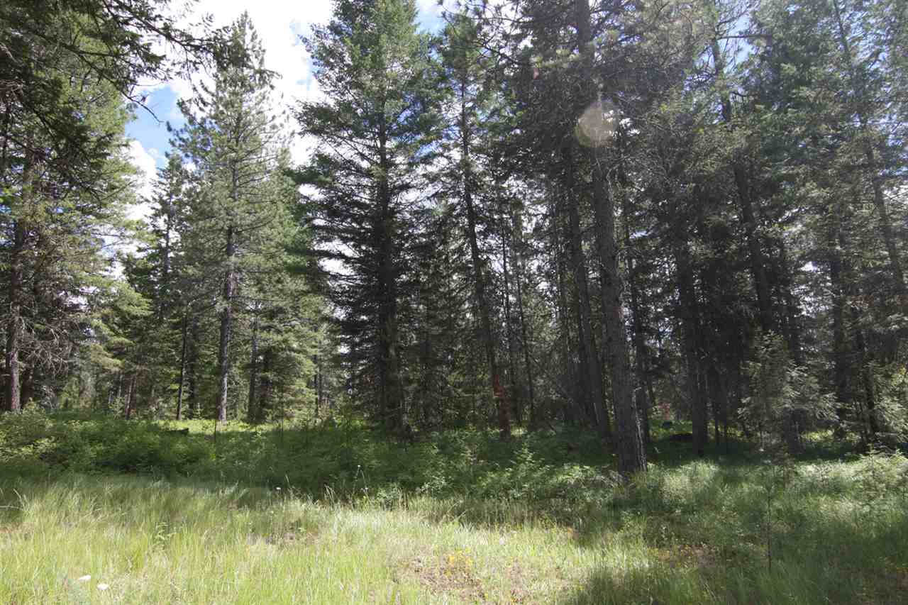 0 Dodge Mtn Road Newport, WA 99156 - Photo 8 of 18 Gallery Image 8
