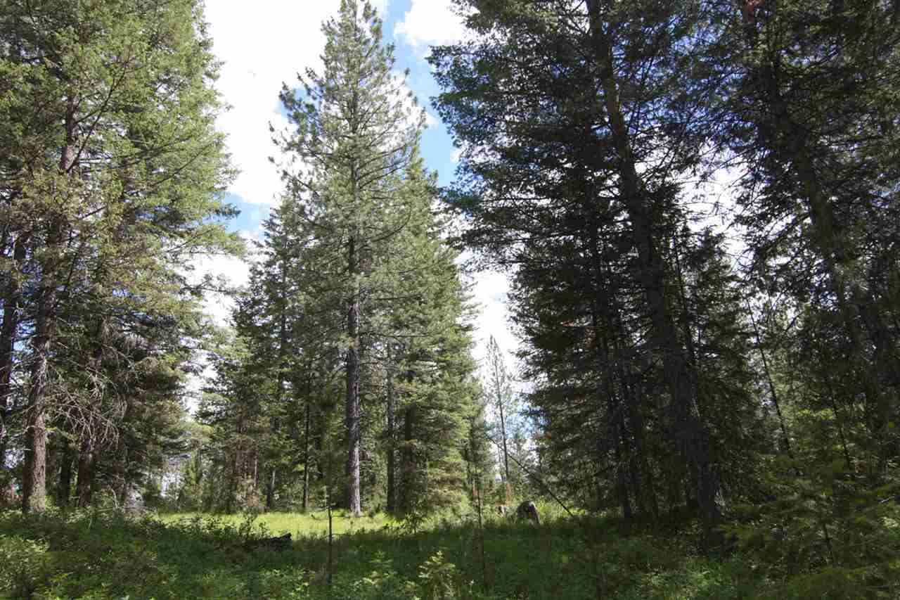 0 Dodge Mtn Road Newport, WA 99156 - Photo 10 of 18 Gallery Image 10