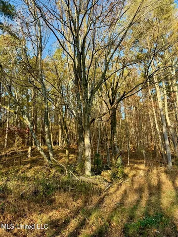 $95,000 | 6 Mill Pond Road, Lamar, MS 38642