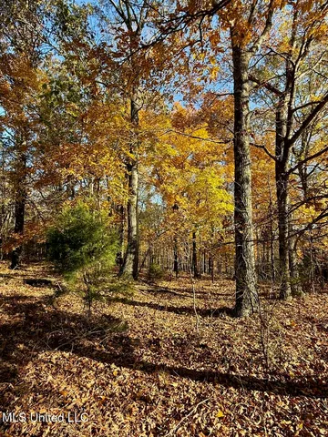 $95,000 | 6 Mill Pond Road, Lamar, MS 38642