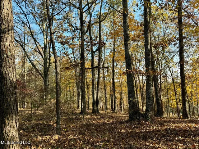 $95,000 | 6 Mill Pond Road, Lamar, MS 38642