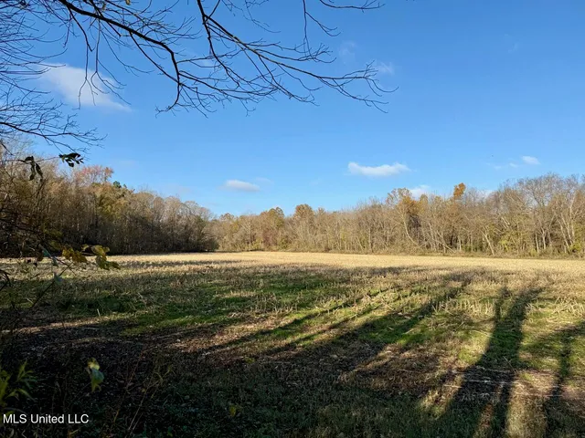 $95,000 | 6 Mill Pond Road, Lamar, MS 38642