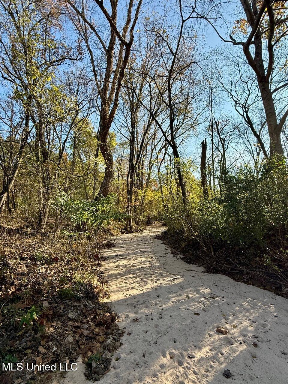 6 Mill Pond Road Lamar, MS 38642 - Photo 34 of 99 IMG_0168