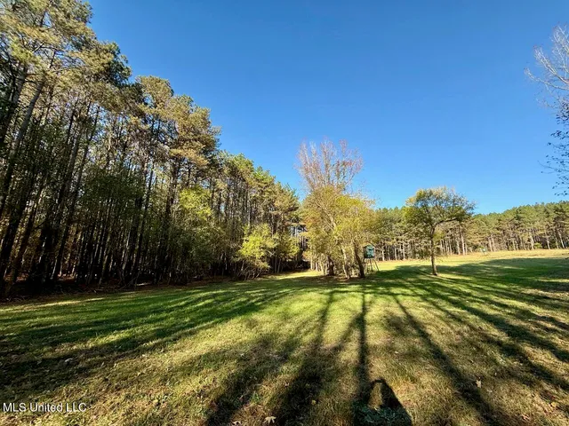 $95,000 | 6 Mill Pond Road, Lamar, MS 38642