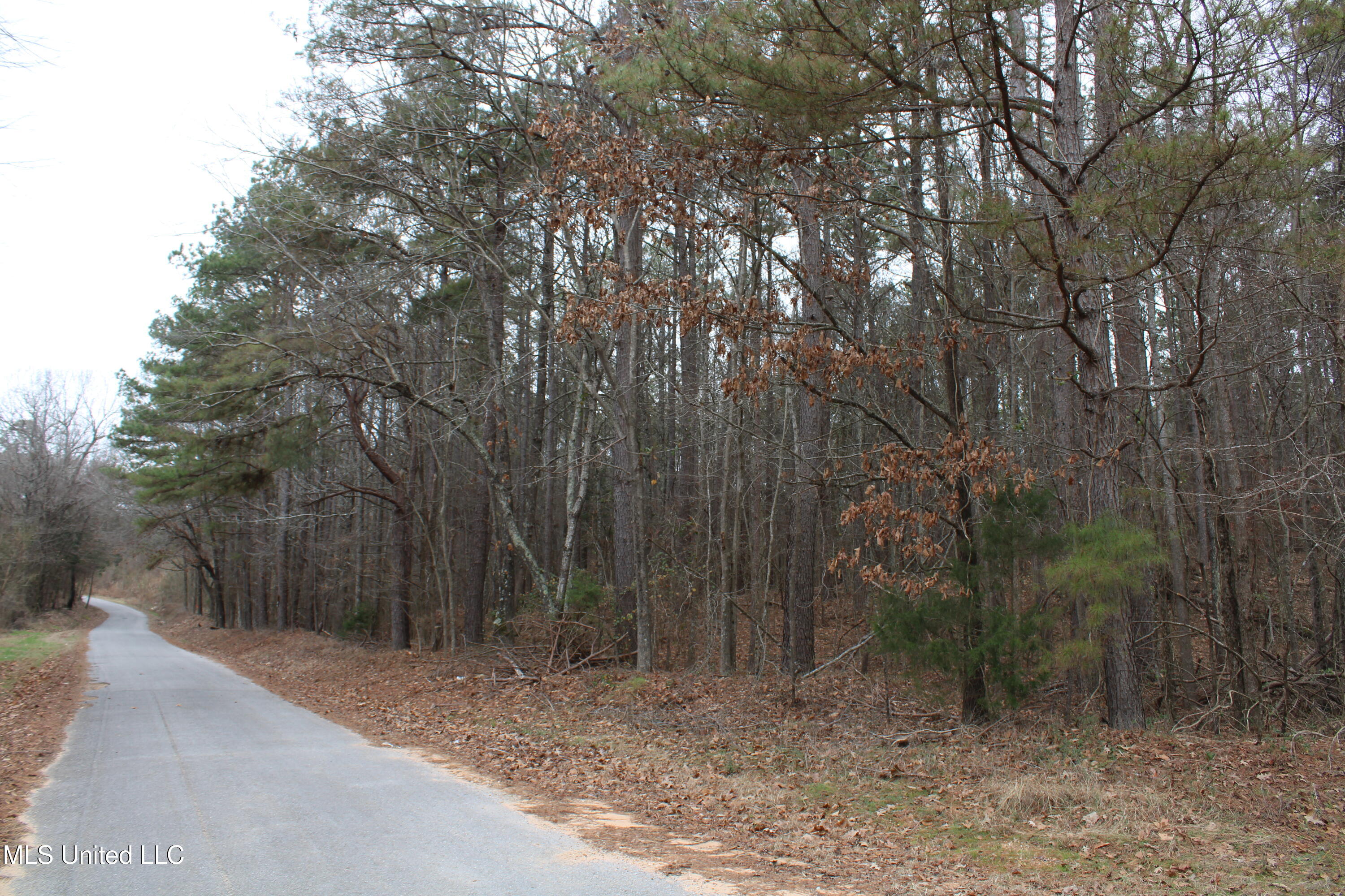 6 Mill Pond Road Lamar, MS 38642 - Photo 48 of 99 IMG_5268