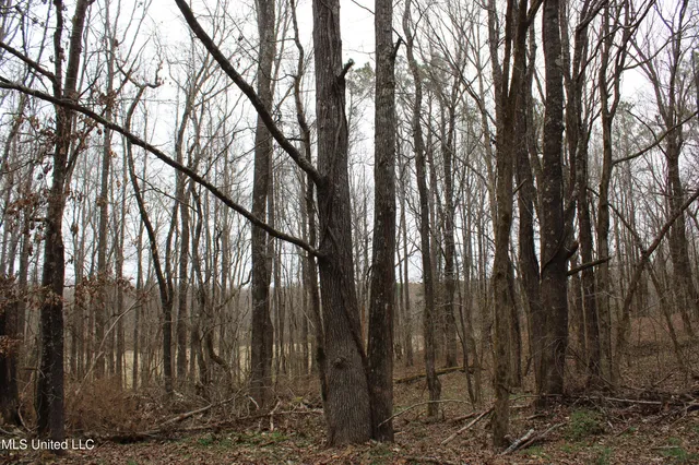 $95,000 | 6 Mill Pond Road, Lamar, MS 38642