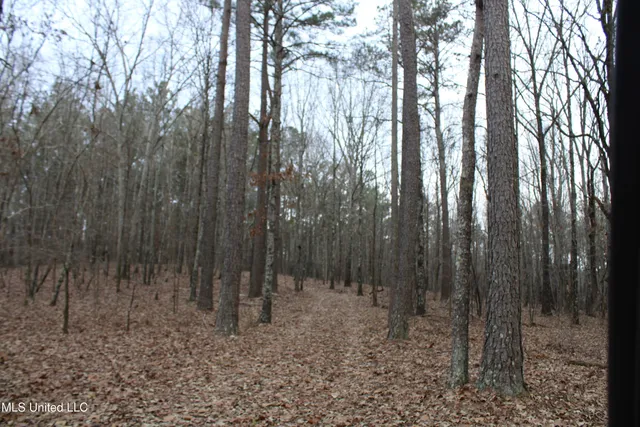 $95,000 | 6 Mill Pond Road, Lamar, MS 38642