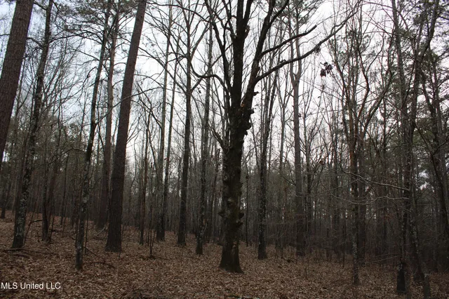 $95,000 | 6 Mill Pond Road, Lamar, MS 38642