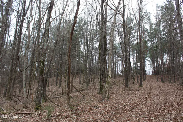 $95,000 | 6 Mill Pond Road, Lamar, MS 38642