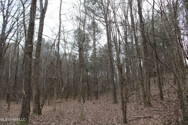 $95,000 | 6 Mill Pond Road, Lamar, MS 38642