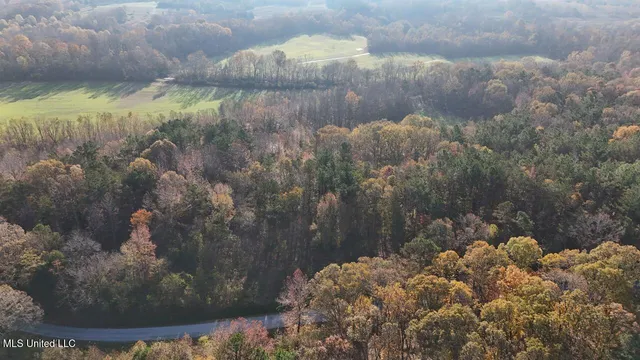 $95,000 | 6 Mill Pond Road, Lamar, MS 38642