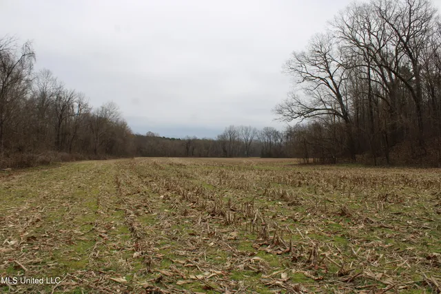 $95,000 | 6 Mill Pond Road, Lamar, MS 38642